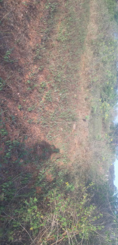  Agricultural Land for Sale in Harohalli, Mysore