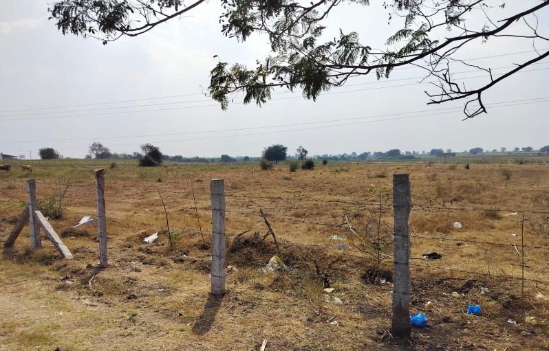  Agricultural Land 6 Ares for Sale in Shadnagar, Hyderabad