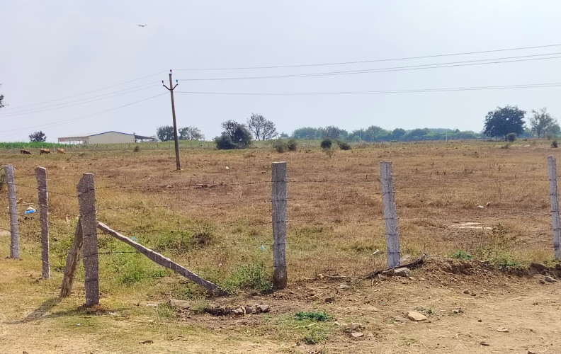  Agricultural Land 6 Ares for Sale in Shadnagar, Hyderabad