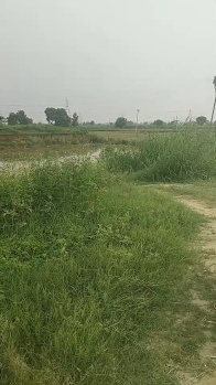  Agricultural Land for Sale in Kharkhoda, Meerut