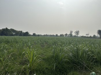  Agricultural Land for Sale in Kim, Surat