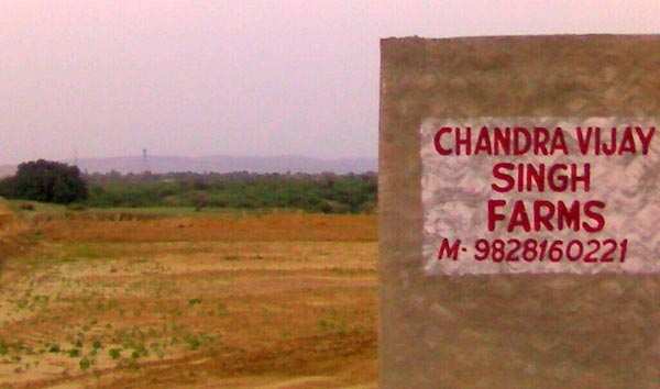 Agricultural Land 6 Bigha for Rent in Jamwa Ramgarh, Jaipur