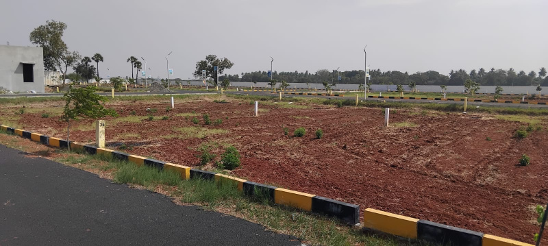  800 Sq.ft. Residential Plot for Sale in Arupukottai, Madurai
