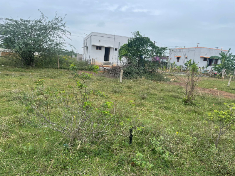  1840 Sq.ft. Residential Plot for Sale in Kalaiyar Kovil, Sivaganga