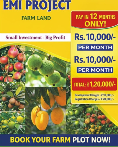  121 Guntha Agricultural/Farm Land for Sale in Raghunathpalle, Jangaon