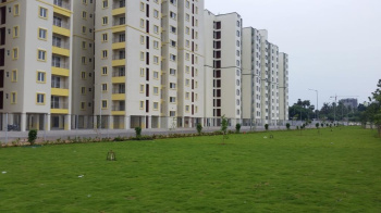 2 BHK Flat for Rent in Sholinganallur, Chennai