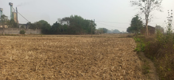  Agricultural Land for Sale in Naya Baradwar, Janjgir-Champa