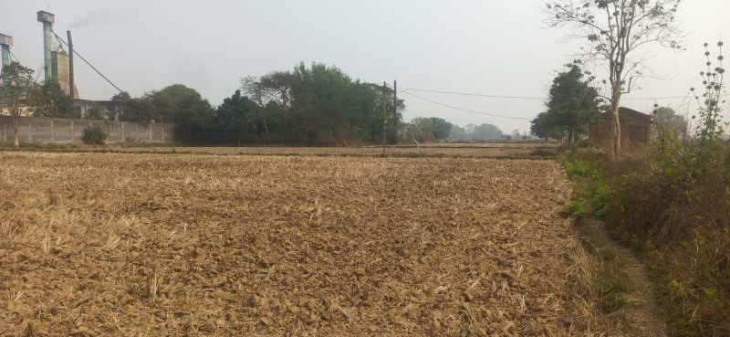  Agricultural Land 8 Acre for Sale in Naya Baradwar, Janjgir-Champa