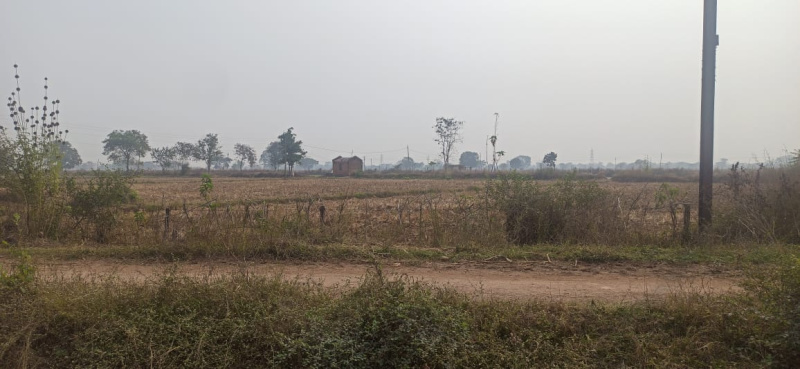  Agricultural Land 8 Acre for Sale in Naya Baradwar, Janjgir-Champa