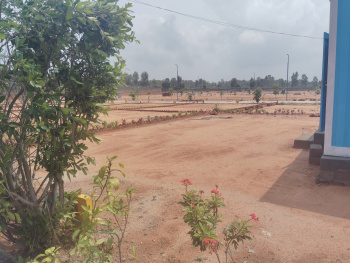  Residential Plot for Sale in Chikka Tirupathi, Bangalore