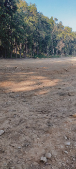  Agricultural Land for Sale in Manduwala, Dehradun