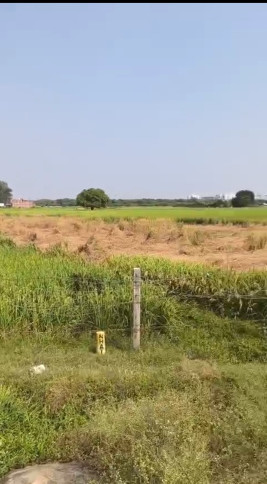 1361 Sq.ft. Commercial Land for Sale in Alambagh, Lucknow