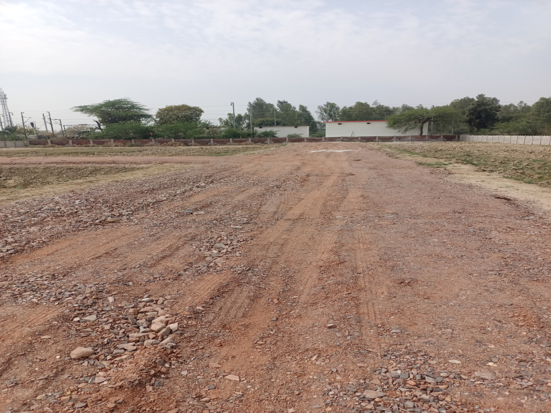  Commercial Land 1190 Sq. Yards for Sale in Chhata, Mathura