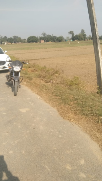  Residential Plot 8000 Sq.ft. for Sale in Campierganj, Gorakhpur