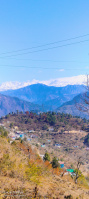  Agricultural Land for Sale in Tehri, Tehri Garhwal