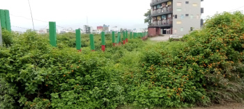  Residential Plot for Sale in Nirmal Bag, Rishikesh