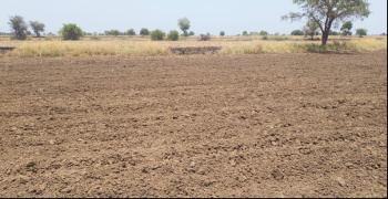  Agricultural Land for Sale in Kanjari, Anand