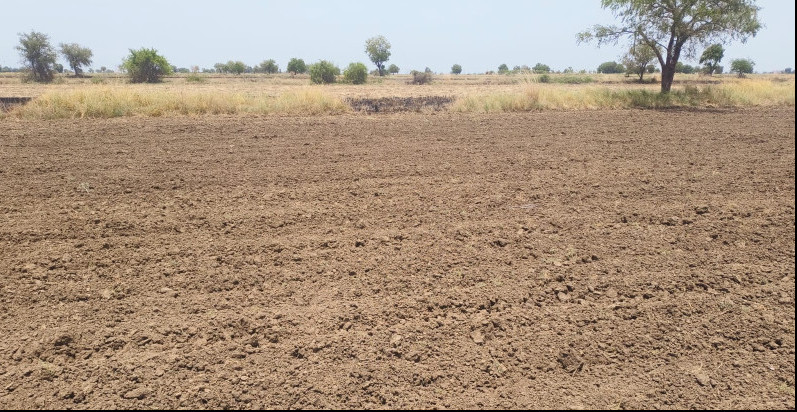  Agricultural Land 150 Bigha for Sale in Kanjari, Anand