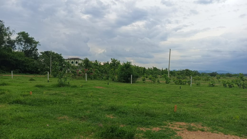  6 Acre Agricultural/Farm Land for Sale in Banchari, Palwal