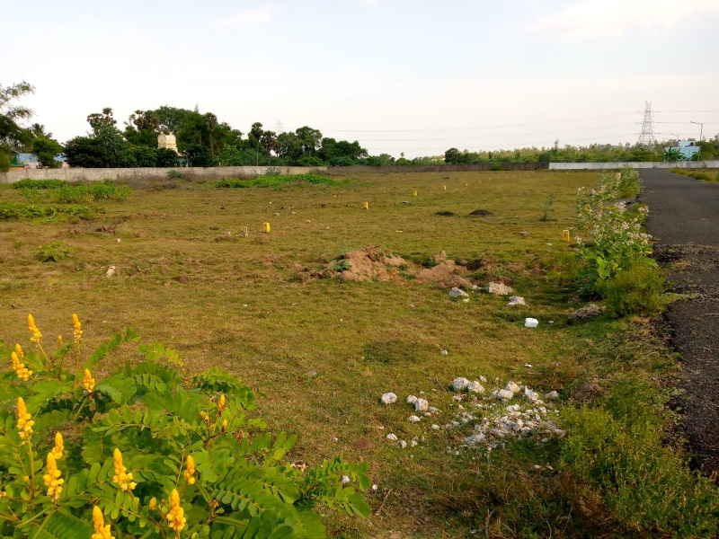  2 Acre Commercial Land for Sale in Kosi, Mathura