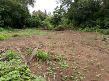  Agricultural Land for Sale in Kelwa, Palghar