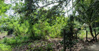  Residential Plot for Rent in Mahim Road, Palghar