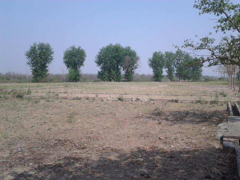 Residential Plot 100 Sq. Yards for Sale in Baltana, Panchkula