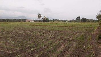  Residential Plot for Sale in Lalru, Mohali