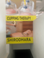  Commercial Shop for Rent in Phase 3B2, Mohali