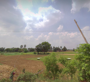  Agricultural Land for Sale in Bihta, Patna