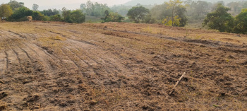  Agricultural Land for Sale in Velhe, Pune