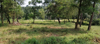  Residential Plot for Sale in Ujire, Mangalore