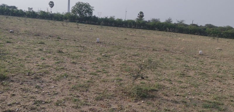  Commercial Land 1000 Sq.ft. for Sale in Dharapuram, Tirupur