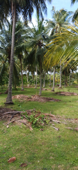  Agricultural Land for Sale in Odaiyakulam, Coimbatore