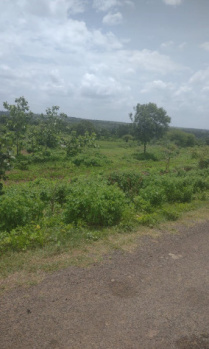  Agricultural Land for Sale in Narayankhed, Sangareddy