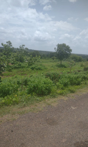  Agricultural Land 60 Sq.ft. for Sale in Narayankhed, Sangareddy