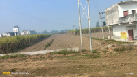  Agricultural Land for Sale in Mawana Road, Meerut