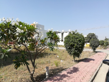  Residential Plot for Sale in Gandhi Nagar, Indore