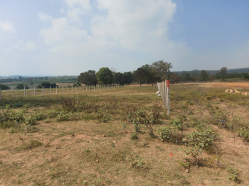  Agricultural Land for Sale in Ayanur, Shimoga