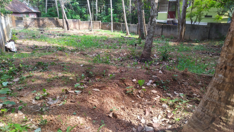 Sasthamangalam, Thiruvananthapuram photo 3