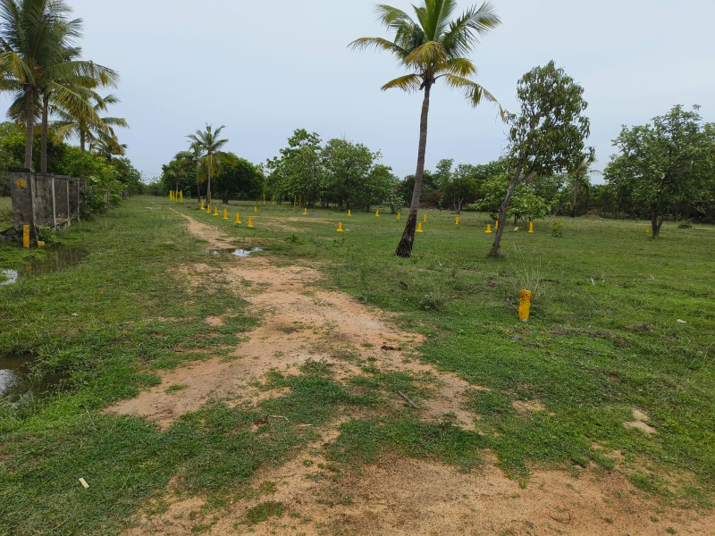  Industrial Land 7200 Sq.ft. for Rent in Sipcot, Kanchipuram