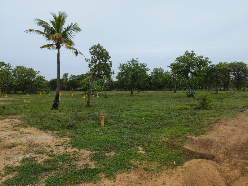  Industrial Land 7200 Sq.ft. for Rent in Sipcot, Kanchipuram