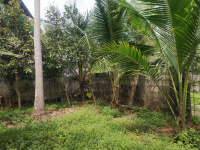 Residential Plot for Sale in Thrippunithura, Ernakulam