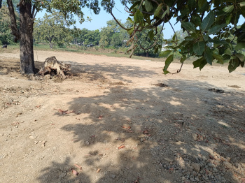  Agricultural Land for Sale in Narayanganj, Mandla