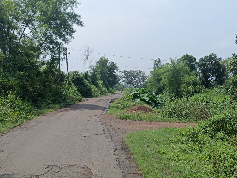 Panagar, Jabalpur photo 5
