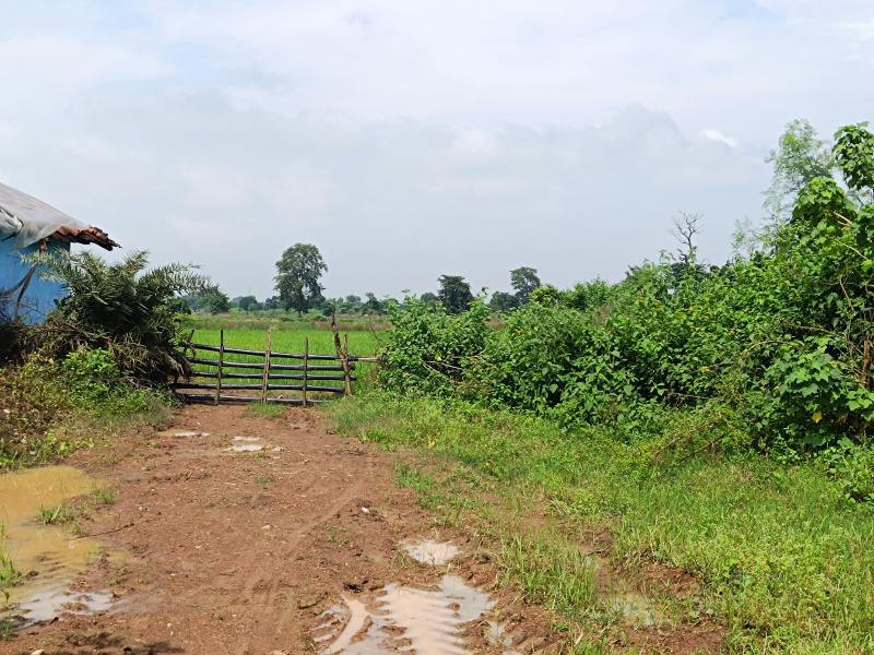 Panagar, Jabalpur photo 3