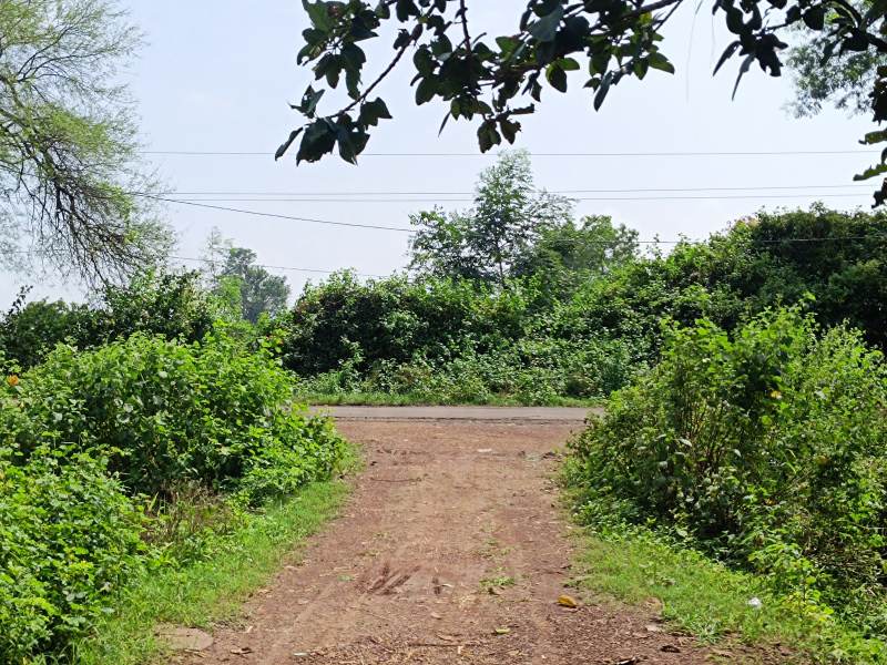 Panagar, Jabalpur photo 4