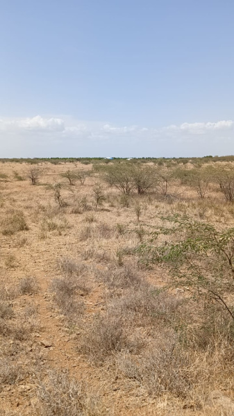  Agricultural Land 5000 Acre for Sale in Velipattinam, Ramanathapuram