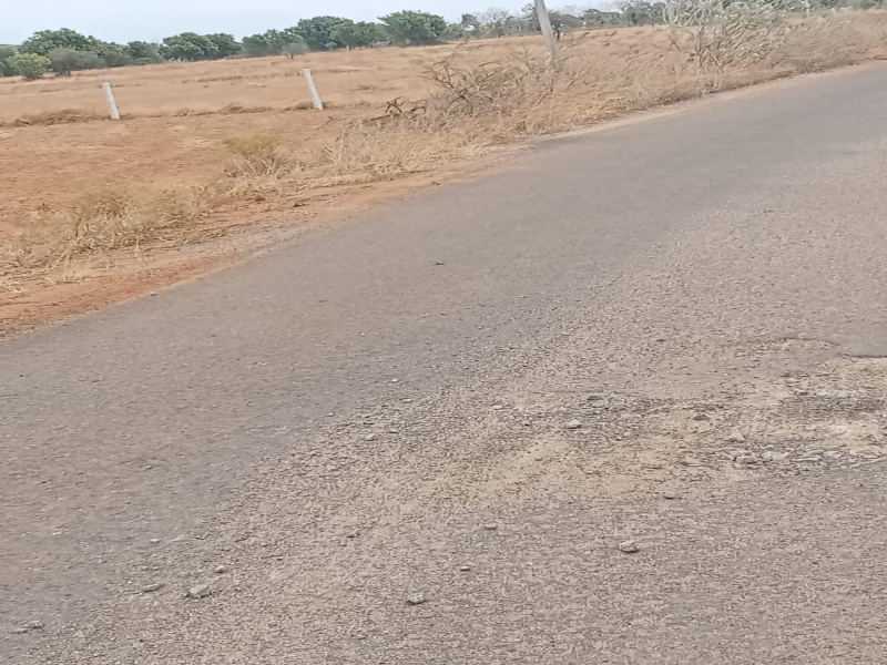  Agricultural Land 20 Acre for Sale in Padur, Chennai