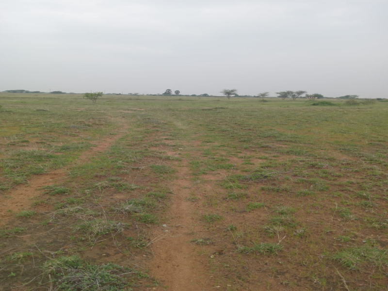  Agricultural Land 928 Acre for Sale in Vallioor, Tirunelveli
